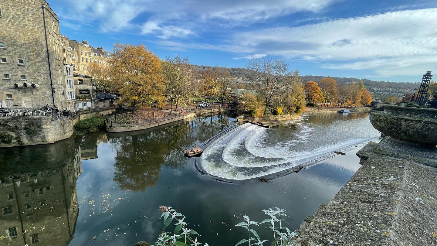 A recent arrival at Pultney weir