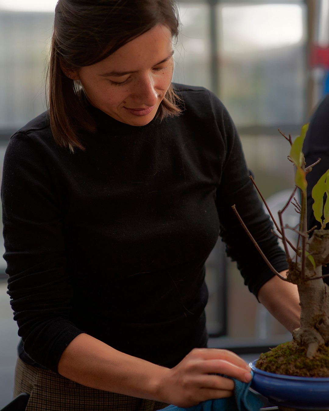 Coarse Magnolia bonsai but my the flowers are beautiful!