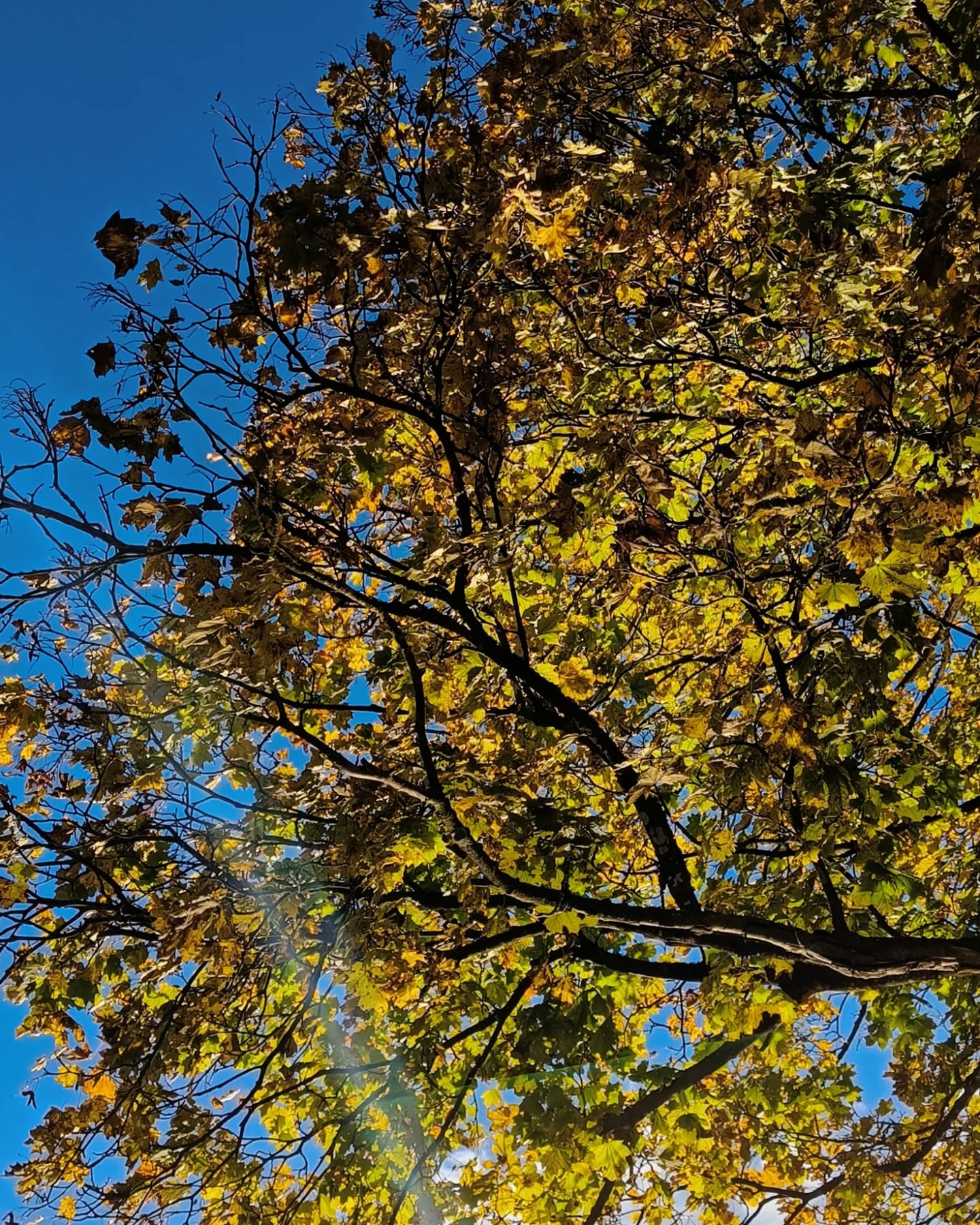 IN THE MOOD 🍁 Herbst, Gemütlichkeit und Entspannung
Ein neues Briefchen mit Neuigkeiten ist soeben in euren Posteingang geflattert. Falls nicht, dann gleich hier eintragen: https://bit.ly/3uiPnQU
.
.
#newsletter #yogawellbeing #news #yogastudio #yogatirol #emailmarketing #newsletters #business #subscribe #love #breakingnews #loveletter #yogastudiowellbeing #yoga