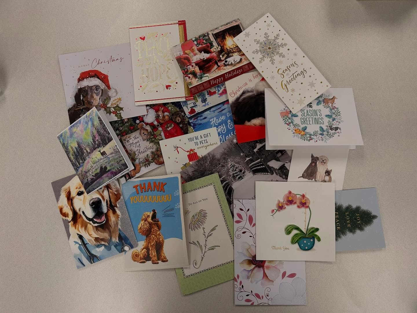 Thank you to everyone who sent us holiday cards. Each one had such sweet and thoughtful words which warms our hearts. We are so happy to be here for you all and hope everyone had a wonderful holiday season🌟❤️