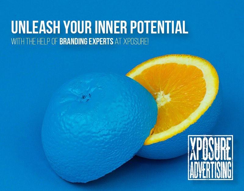 Get in touch with us today! 🍊
Email us at: cat@xposureadvertising.com
Or give us a call: (305) 494-8966