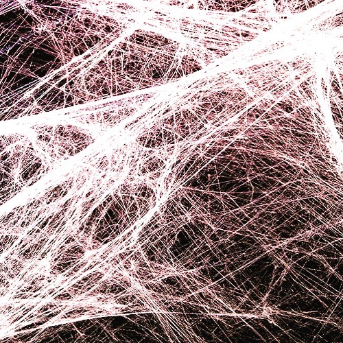 Fascia. What is it? In Latin it means ‘band’ or ‘bundle’. The photo may look like a web or candy floss but it is infact fascia under a microscope!
Fascia is a network of connective tissue made mainly of collagen and elastin which holds our entire body together. It is found everywhere in the body, between cells, wrapping around muscles, under the skin, weaving in and around organs. It protects, connects and supports every bit of us. When it’s healthy it’s more flexible and supple, and when it isn’t, it can become sticky, tight and can cause restrictions in the body.
It’s these restrictions I look for in my clients. As a massage therapist, I think about the body globally. An area of tension could quite possibly be a result of something occurring somewhere else entirely. Treating a problem requires looking at the bigger picture.
Isn’t the human body amazing....