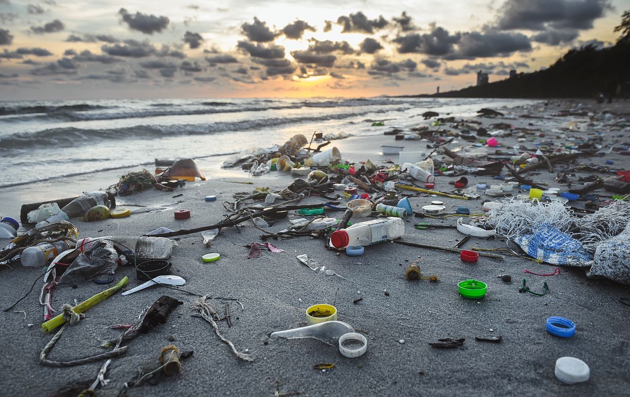 Every year, 8 million tons of plastic waste escapes into the oceans. Unless we make drastic changes to the way we consume plastic today, this amount is expected to double in the next 15 years, and by 2050 there will be more plastic than fish in the sea.
To learn more about what you as an individual can do to help, join one of our education programmes. Sign up through our website - link in bio.
•
•
•
#cleanwaterways #plasticpollution #marineplasticpollution #plasticfreeseas #saynotosingleuseplastic #saynotosingleuse #education #protectouroceans