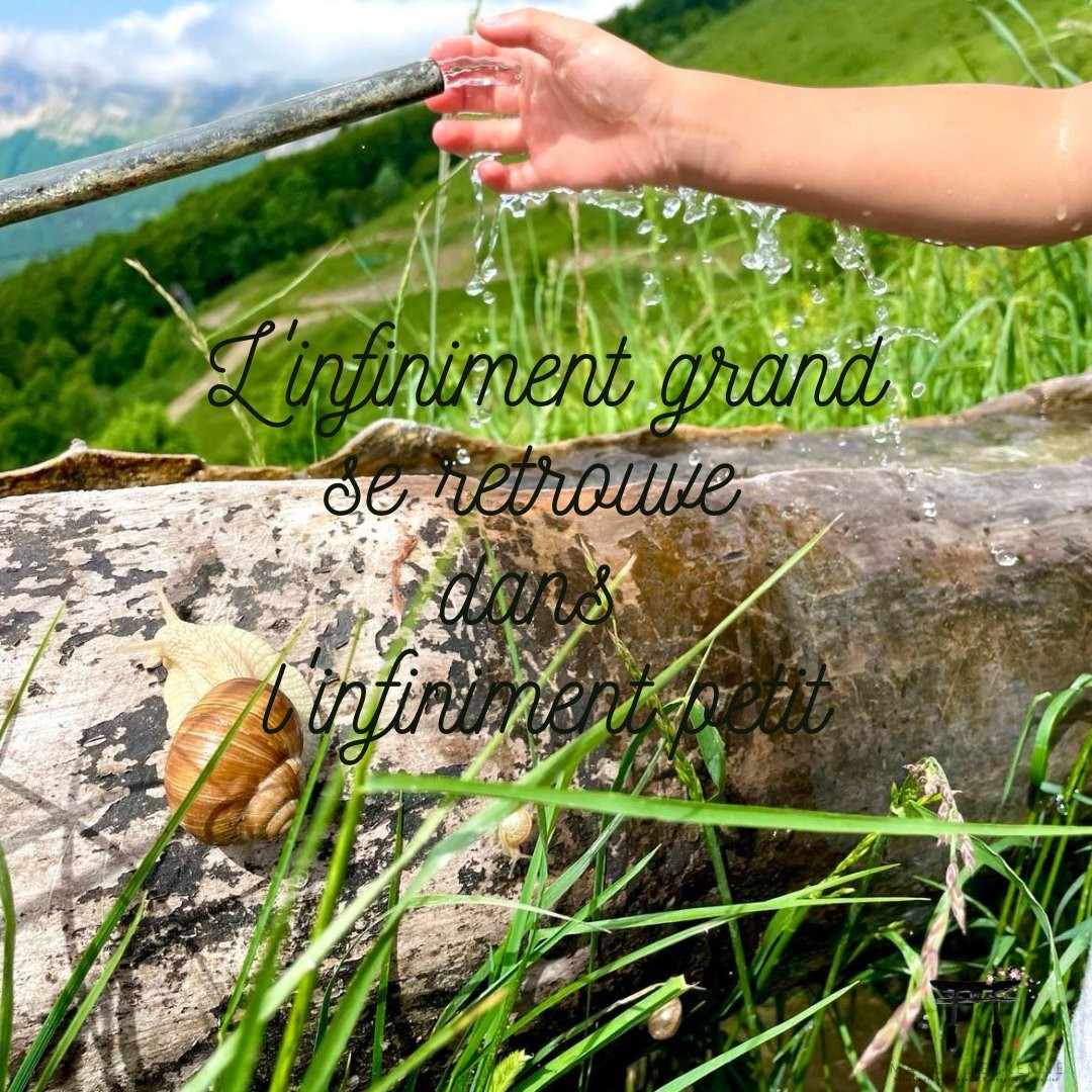 💙 L’analogie avec la nature, si chère aux peuples traditionnels, nous explique que le changement prend du temps et qu’il se fait de manière douce et naturelle, répondant ainsi aux lois ontologiques de la Vie.
⛈ Cette vision nous met également en garde face aux bouleversements spectaculaires qui peuvent générer plus de chaos que d’ordre.
🐌 A la remarque « qu’est-ce que ça bouge en ce moment !», on serait en droit de rétorquer : « très bien, mais est-ce que ça avance ? »
#keikoshiatsu #shiatsulyon #bienetrelyon #doinlyon #aromatherapielyon #massagelyon #santenaturelle #huileessentielles #energetiquechinoise #medecinechinoise #acupression #developpementpersonnel #psychologiepositive #formationaromatherapie #holistique #soinénergétiquelyon #santemental #mtc #shiatsu #energetique #soinenergetique #soinholistique #acupuncture #soinslyon