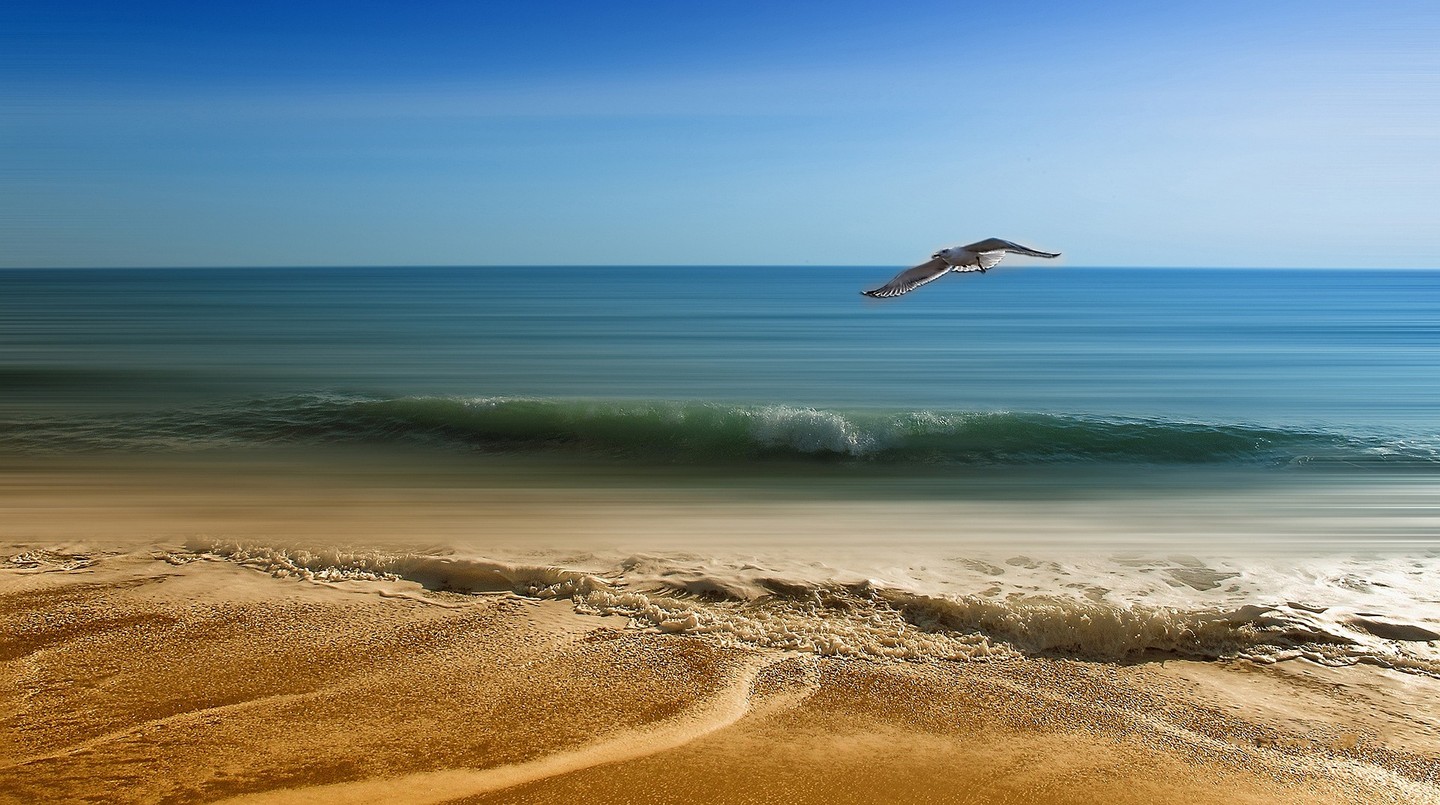 Good Summer 🌞
Profitez bien de l’été ! Avec les fortes chaleurs estivales il est agréable de se rafraîchir…
Quoi de mieux qu’une petite baignade ? Se maintenir en forme tout en se rafraichissant 🌊 Il n’y a pas de sport plus adapté en été ! Alors alliez l’utile à l’agréable 💙
N’oubliez pas votre bouteille d’eau 💦 afin de bien vous hydrater après votre sport et votre soin de nuit pour récupérer au maximum, vous régénérer et garder un teint lumineux ✨
Make the most of summer 🌞
With the summer heat, it's nice to cool off...
What could be better than a dip in the pool ? Keep fit and cool at the same time 🌊
There's no sport better suited to summer !
So combine useful with pleasure 💙
Don't forget your bottle of water 💦 to keep you well hydrated after sport, and your night cream to help you recover as much as possible, regenerate and keep your complexion glowing ✨
#goodsummer #summer #summervibes #été #beach #beachlife #beachvibes #plage #oceanlife #ocean #mediteranée #oceanatlantique #suddelafrance #cotedazur #cotedazurfrance #cotedazurfrenchriviera #sudouest #vacances #vacation #soinnaturel #soindepeau #cosmetiquenaturelle #cosmetiquebio #organicskincare #naturalcosmetics #naturare #naturarebio #naturarefrance #naturarefr