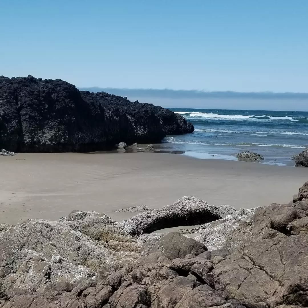 Just ocean things