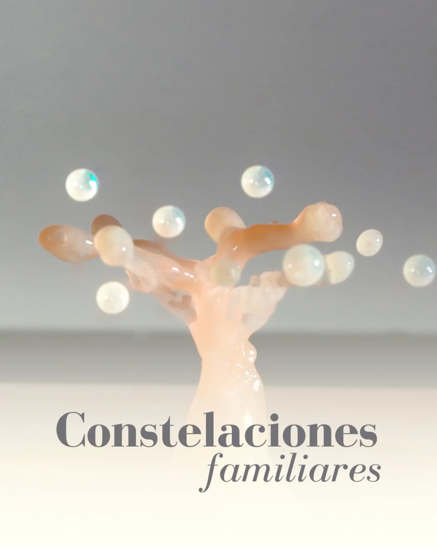 𝐂𝐨𝐧𝐬𝐭𝐞𝐥𝐚𝐜𝐢𝐨𝐧𝐞𝐬 𝐅𝐚𝐦𝐢𝐥𝐢𝐚𝐫𝐞𝐬 👪
Las Constelaciones Familiares son una técnica poderosa que trabaja en el campo energético de tu sistema familiar. Esta metodología facilita la liberación de conflictos ligados a las dinámicas inconscientes que nos conectan con nuestro sistema familiar, incluyendo a las generaciones anteriores.
¿Qué son las Constelaciones Familiares?
Es una técnica que explora y revela las relaciones y patrones ocultos dentro del sistema familiar. A través de representaciones y dinámicas grupales o individuales, se identifica y aborda la influencia de las generaciones pasadas en nuestro presente.
Beneficios de las Constelaciones Familiares:
🔸 Liberación de Conflictos: Ayuda a resolver conflictos no resueltos que afectan tus relaciones y bienestar emocional.
🔸 Sanación de Dinámicas Inconscientes: Permite descubrir y sanar patrones familiares inconscientes que influyen en tu vida cotidiana.
🔸 Mejora de Relaciones: Facilita la comprensión y mejora de las relaciones con familiares y seres queridos, promoviendo una mayor armonía en el sistema familiar.
🔸 Reconocimiento de Causas Raíces: Identifica y aborda las causas profundas de problemas recurrentes en tu vida, brindando claridad y soluciones.
🔸 Transformación Personal: Fomenta el crecimiento personal y emocional al liberar bloqueos y promover una mayor conexión con tu identidad y propósito.
Las Constelaciones Familiares te ofrecen una visión profunda de tu sistema familiar, ayudándote a encontrar paz y equilibrio en tus relaciones y en tu vida. 🌿💫
En Omaná hacemos sesiones individuales.
¿Querés empezar? Escribinos ❣️
.
#constelacionesfamiliares #meditacionguiada #Meditación #reiki #yogakundalini #soundhealing #souljourney #Coaching #cristales #registrosAkáshicos #BienestarHolístico #bienestar #florida #miami