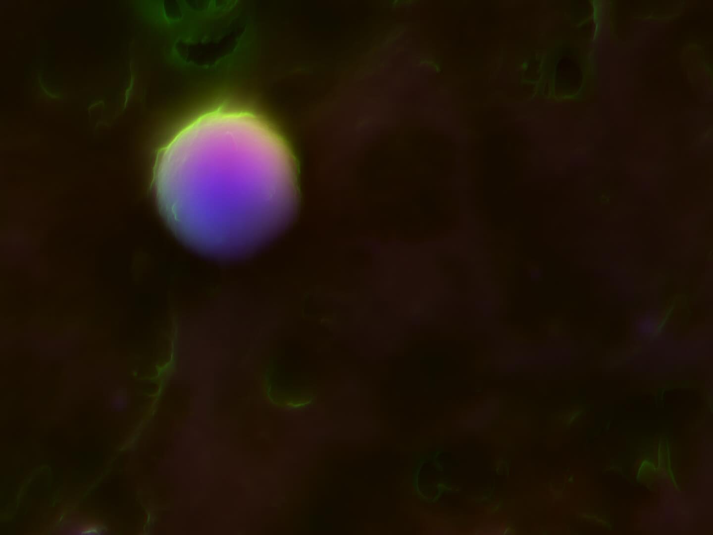 #science #electronmicroscope #laboratory #scienceart #sciencephoto #scientific #scienceweek #research #lab #micro #microscope #microscopy #medicine #medicalsciencestudent #medicalstudent #macrophotography #mineralomics #bio #biology #bioimaging #biologylab #minerals #chemistry #material #engineering #physics #sciencecommunication #ucl #DDCSEM #Mineralomics