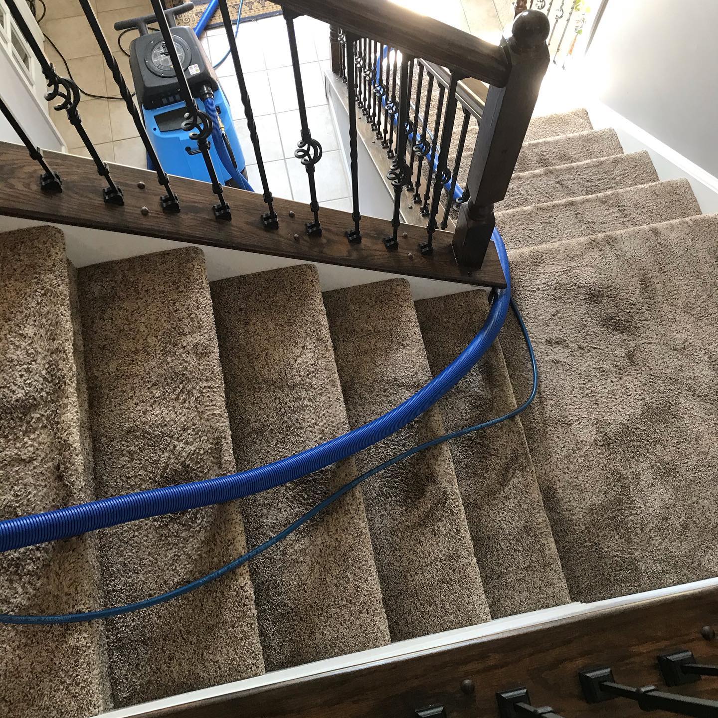 3 rooms + stairs carpet cleaning in Medina