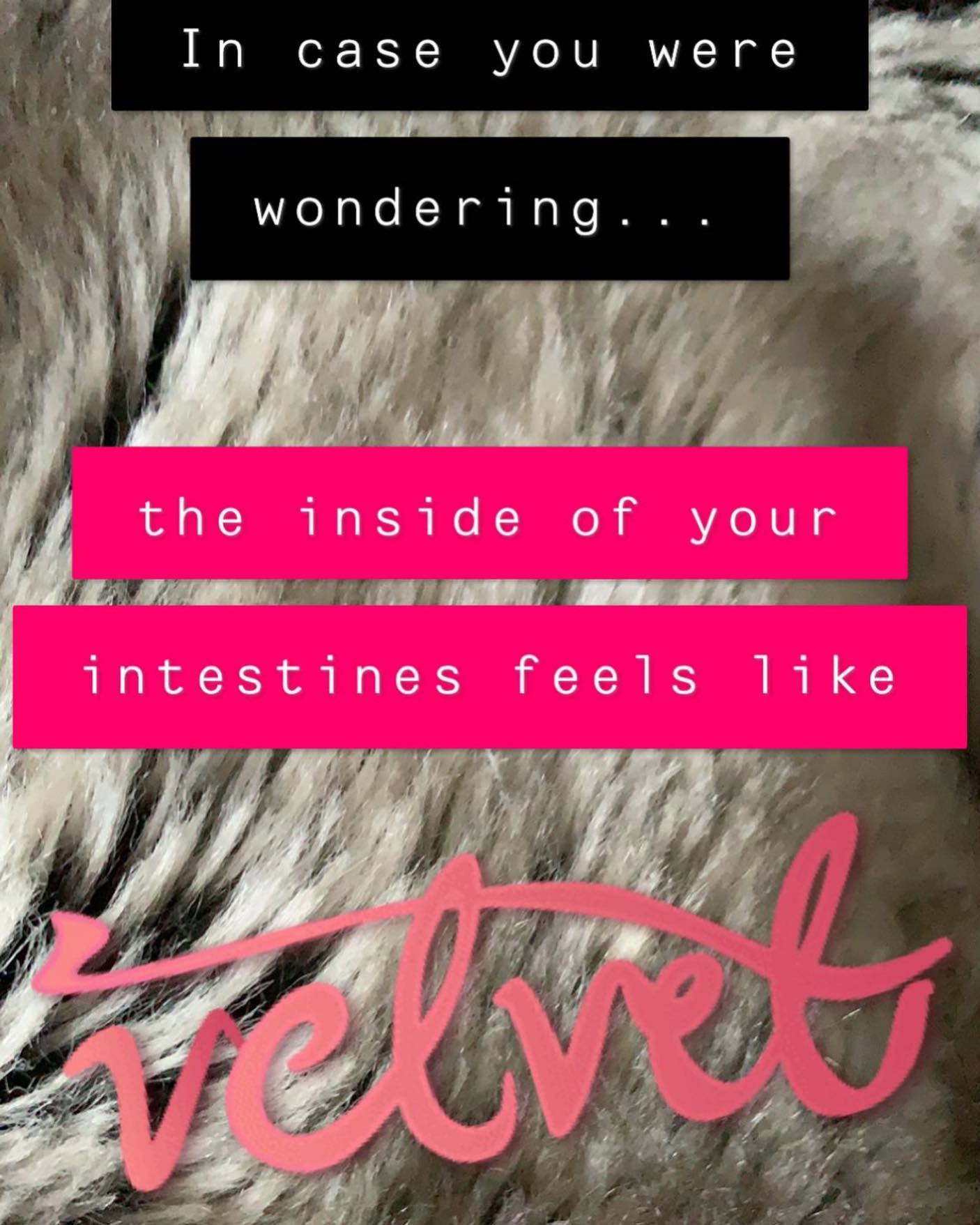 #ThrowbackThursday to this time last year sending my friends #snaps on my MOT #learningjourney - the Visceral Manipulation module was definitely one of my favourites!
#yourintestinesfeellikevelvet #visceralmanipulation #manualosteopathictherapy #manualosteopathy #mot #radicalwellness