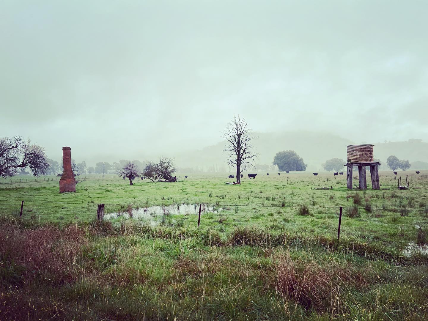 Entropy in the regions