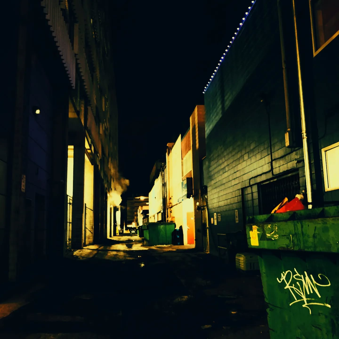 Courtesan Confessions
Moment of pleasure;
Solitude of regret.
Sharing fake infatuation through hickeys.
Leaving bruises on my neck.
Intuition engulfs my aura.
Burning me Blue.
Feeling dead inside, I can see behind,
When she says her love is true.
Addicted to the brief validation.
Repeating "I love you" in my head.
Withdrawals keep me
Returning to the empty spot in her bed.
Costing me energy.
Spending my soul.
Modern day love,
Taking its toll.
-David Nathaniel Baker
#photography #poetrycommunity #poetry #moderndaylove #energy #munipulation #itsjustapoem #relax #streetphotography #writersofinstagram