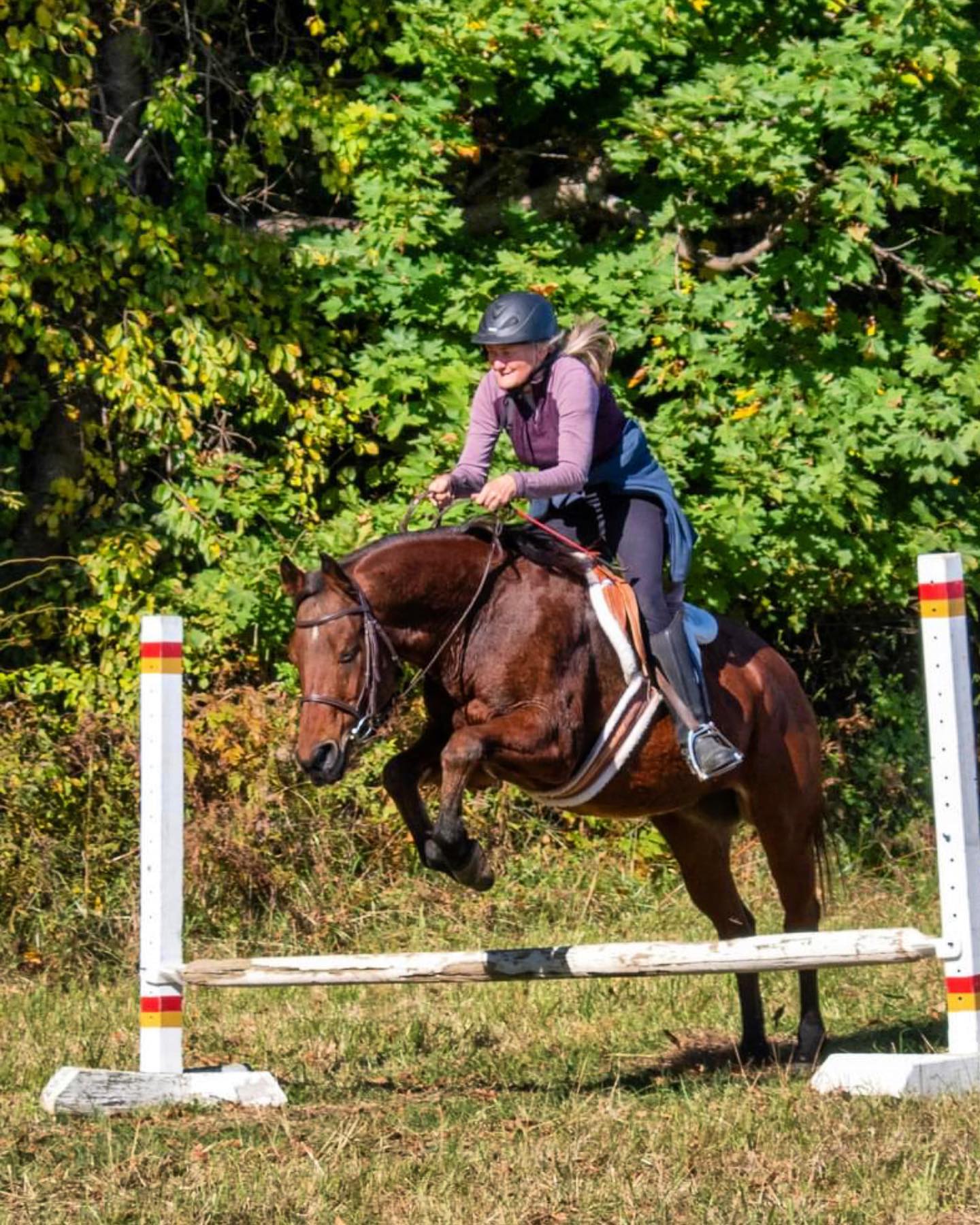 Go Little Bear go!🐻
NBLA President @kriksubnav on her noble steed in 2021 jumping into the hunter pace season!
Register here: https://www.eventbrite.com/e/frost-on-the-pumpkin-hunter-pace-tickets-727557613407?aff=oddtdtcreator&mibextid=Zxz2cZ