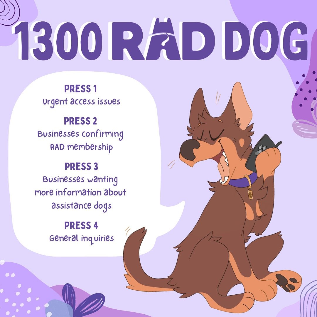 ☎️ RING RING - 1300 RAD DOG 📞
🟣The RAD phone number has gone through an update, one that makes it easier to remember on the go. 🟣
Our new number is 1300 723 364, and we have 4 new options making it faster and easier to navigate for both teams and businesses.
🟣PRESS 1: For RAD teams facing access issues
⚪️PRESS 2: For businesses wanting to verify a RAD membership
🟣PRESS 3: For businesses who would like more information on all assistance dogs, as well as the business’ rights & responsibilities
⚪️PRESS 4: For all general enquires from our members & the public.
📧Members, please be on the look out for an email that will explain how best to utilise this new number!💫
🐾To help get you start the year off on the right paw, our 2022 calendars are still available! 🗓 Featuring the faces and stories of a variety of our incredible RAD dogs, all proceeds go straight back into assistance dog education and support programs ✨
Have a question for the RAD team? Send us an email at
info@raddogsinc.com.au
Want to know more about RAD dogs and what we do? Visit our website
https://www.raddogsinc.com.au
#assistancedog #raddogs #pupsinpurple #dogs #melbournedogs #adit #sdit #servicedog #radassistancedogs #radinc
#spoiltpuppy #spoiltdog #assistancedogvest #australianassistancedog #rad #radassistancedogs