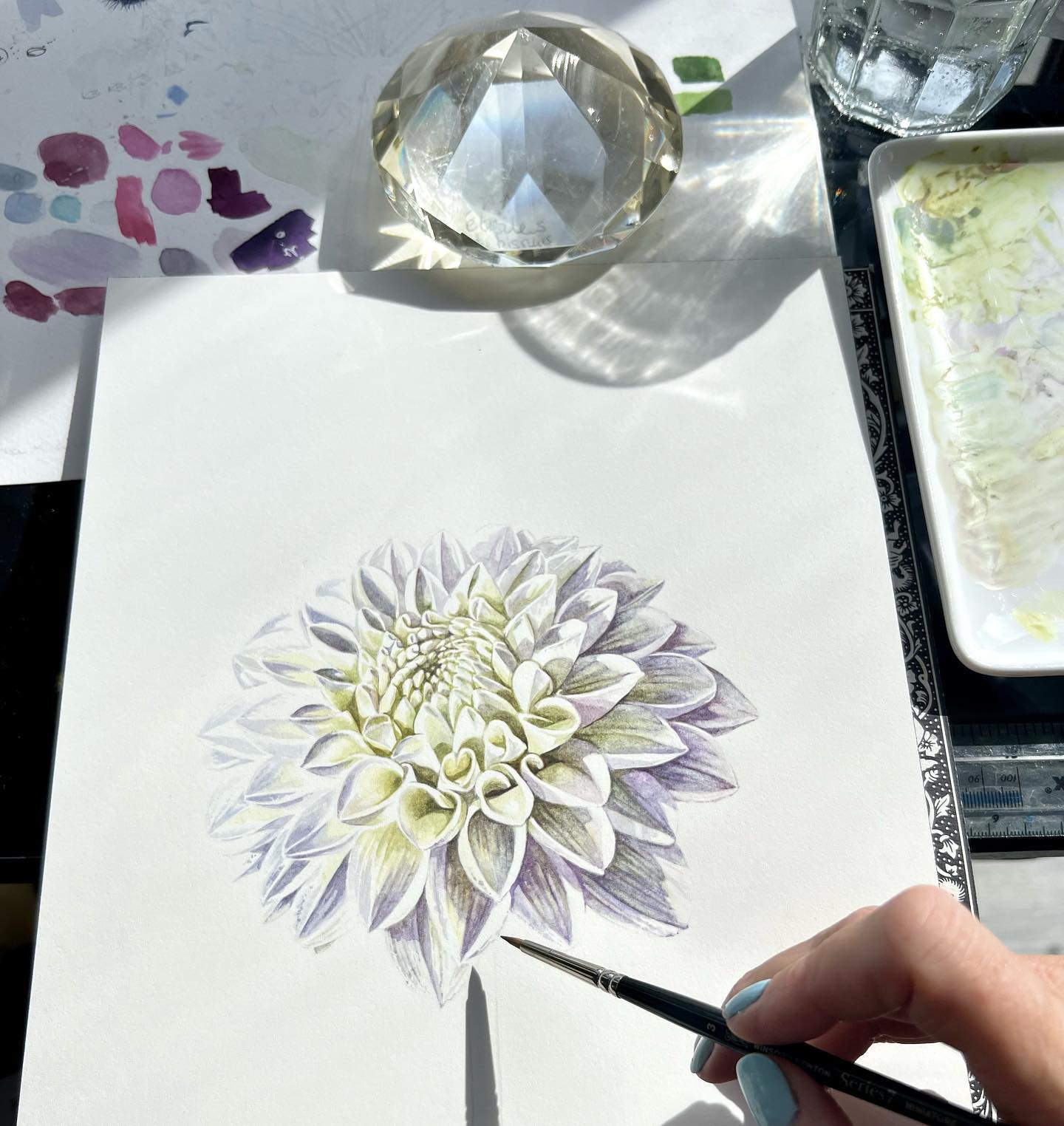 Glorious sunshine to highlight!
WIP // The White Album
#whiteflowers #nowhitepaint
#nowhitepaintwasused #botanicalart #flowerpower #flowerportrait #dahlia #haslemerelife #godalmingcommunity #surreylife #surreyartist #mumlife