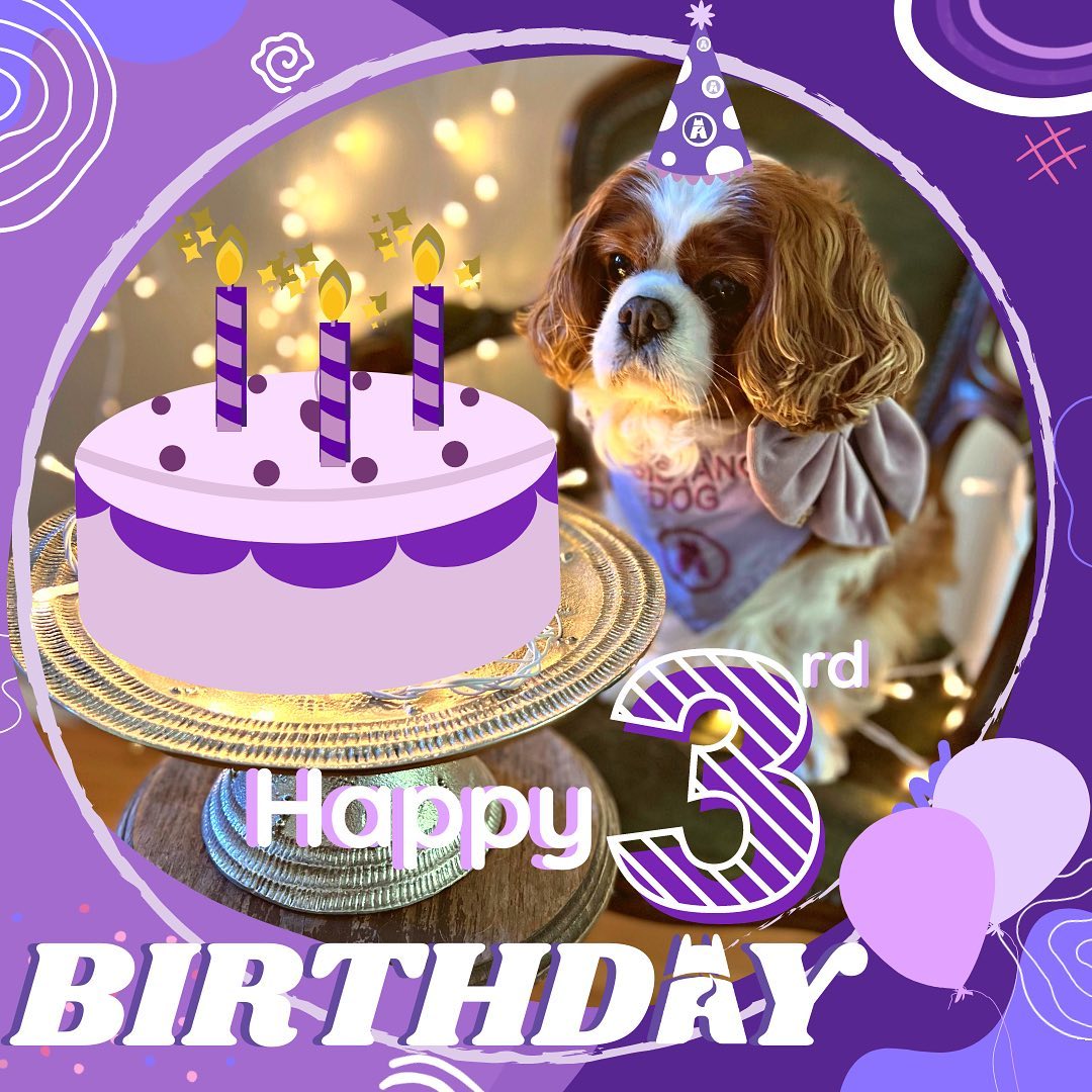 🎉 RAD is turning 3 today!! 🎉
It’s astonishing to see how far we’ve come! We are proud of and so fortunate to have cultivated such an incredible community of teams who share our passion and uphold our values. 🐾
Revolutionary Assistance Dogs is what it is today due to the many learning opportunities we have embraced and challenges we have overcome - pushing us to grow and develop our programs to best support and guide our amazing RAD teams 🌱 Growth like this never stops and we are incredibly excited to continue leaning and evolving for many years to come! 🌲
We want to sincerely thank each and every one of our wonderful RAD teams for their continued involvement within our community; we love supporting and working with you and your pup and we can’t wait to see what this year (our fourth year in operation!) has in store for us! 💜🦮🐕🦺💜
🐾To help get you start the year off on the right paw, our 2022 calendars are still available! 🗓 Featuring the faces and stories of a variety of our incredible RAD dogs, all proceeds go straight back into assistance dog education and support programs ✨
Have a question for the RAD team? Send us an email at
info@raddogsinc.com.au
Want to know more about RAD dogs and what we do? Visit our website
https://www.raddogsinc.com.au
#assistancedog #raddogs #pupsinpurple #dogs #melbournedogs #adit #sdit #servicedog #radassistancedogs #radinc
#spoiltpuppy #spoiltdog #assistancedogvest #australianassistancedog