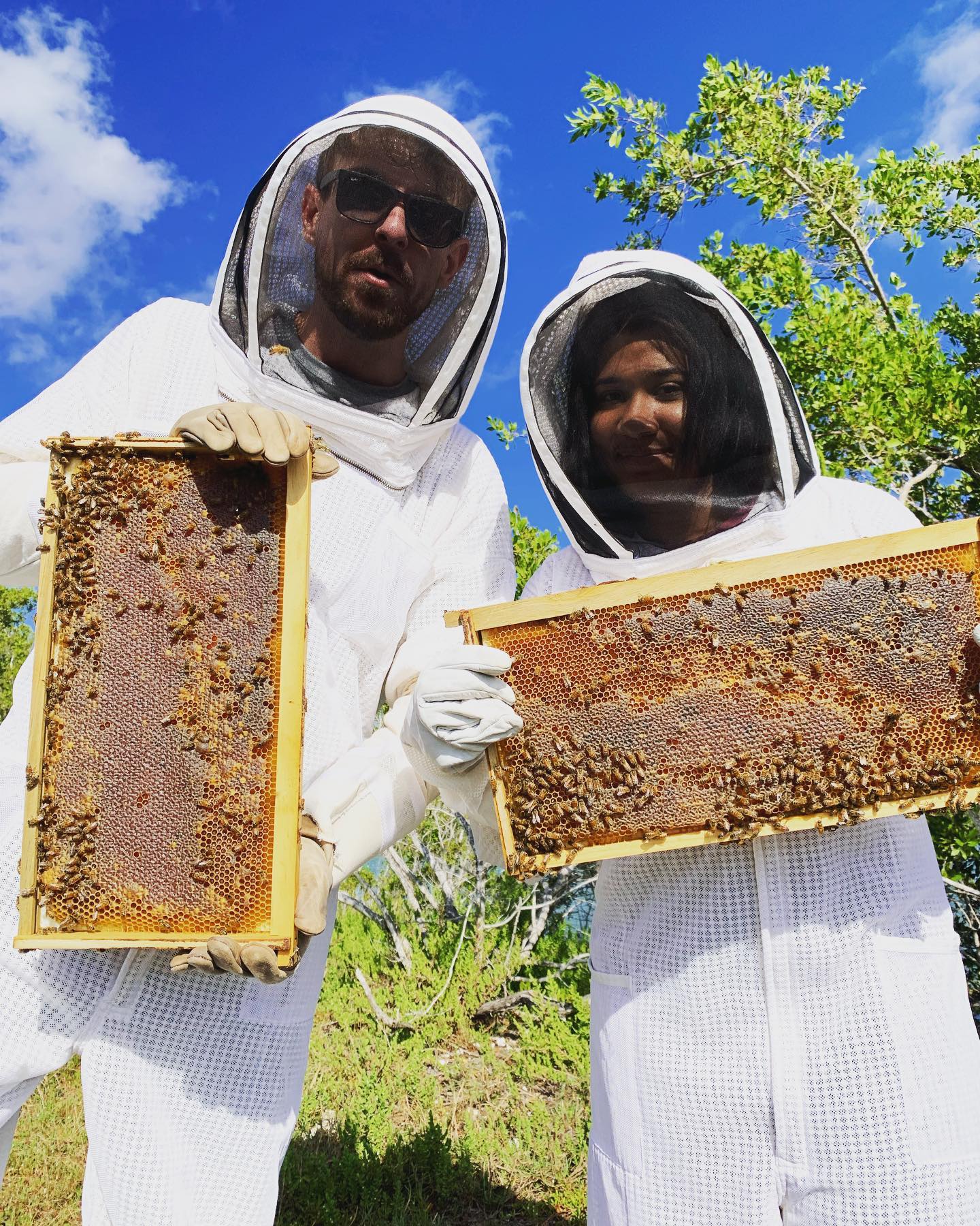 Honey tasting at the source π― #localhoney #honeybees #beekeeping #beetour #nature #outdoors #apiary #grandcayman #caymanislands #caribbean