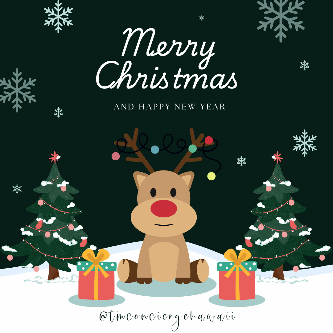 🎄🎅 It’s the most wonderful time of the year…for questionable fashion choices and fruitcake debates! May your holidays be filled with laughter, love, and just the right amount of holiday chaos! 😂✨ #ChristmasLaughs#JingleAllTheWay #ChristmasCheer #FestiveFails #SantaShenanigans #LaughingThroughTheHolidays #HoHoHo #SleighMyName