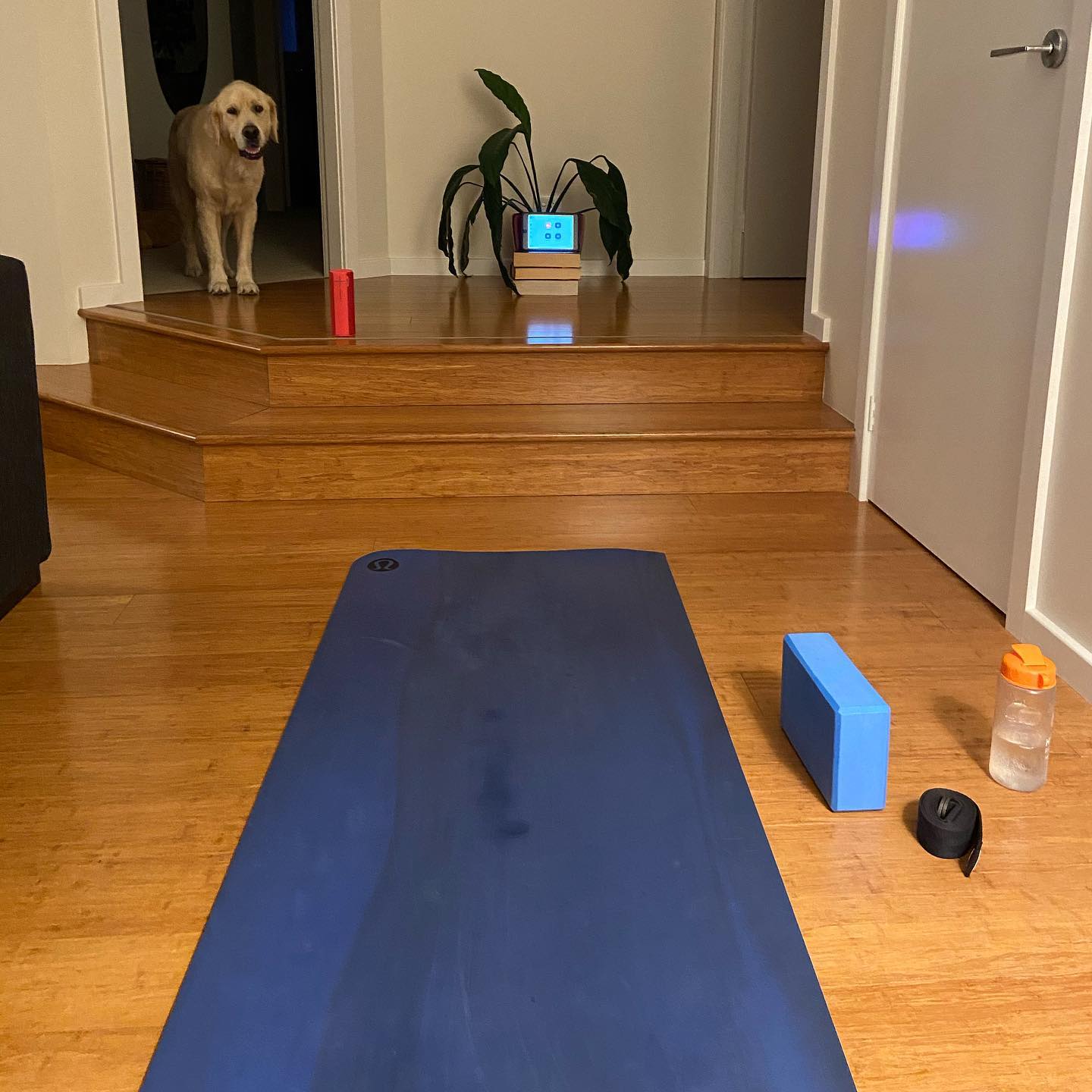 We might seem all wine and cardio, but we are actually practicing a broad range of coping strategies for mental and physical health right now. Stretch it out, breathe it in. Make your health an ongoing priority. #copingskills #wellbeing #dontdrinktoomuch #breathe #stretch