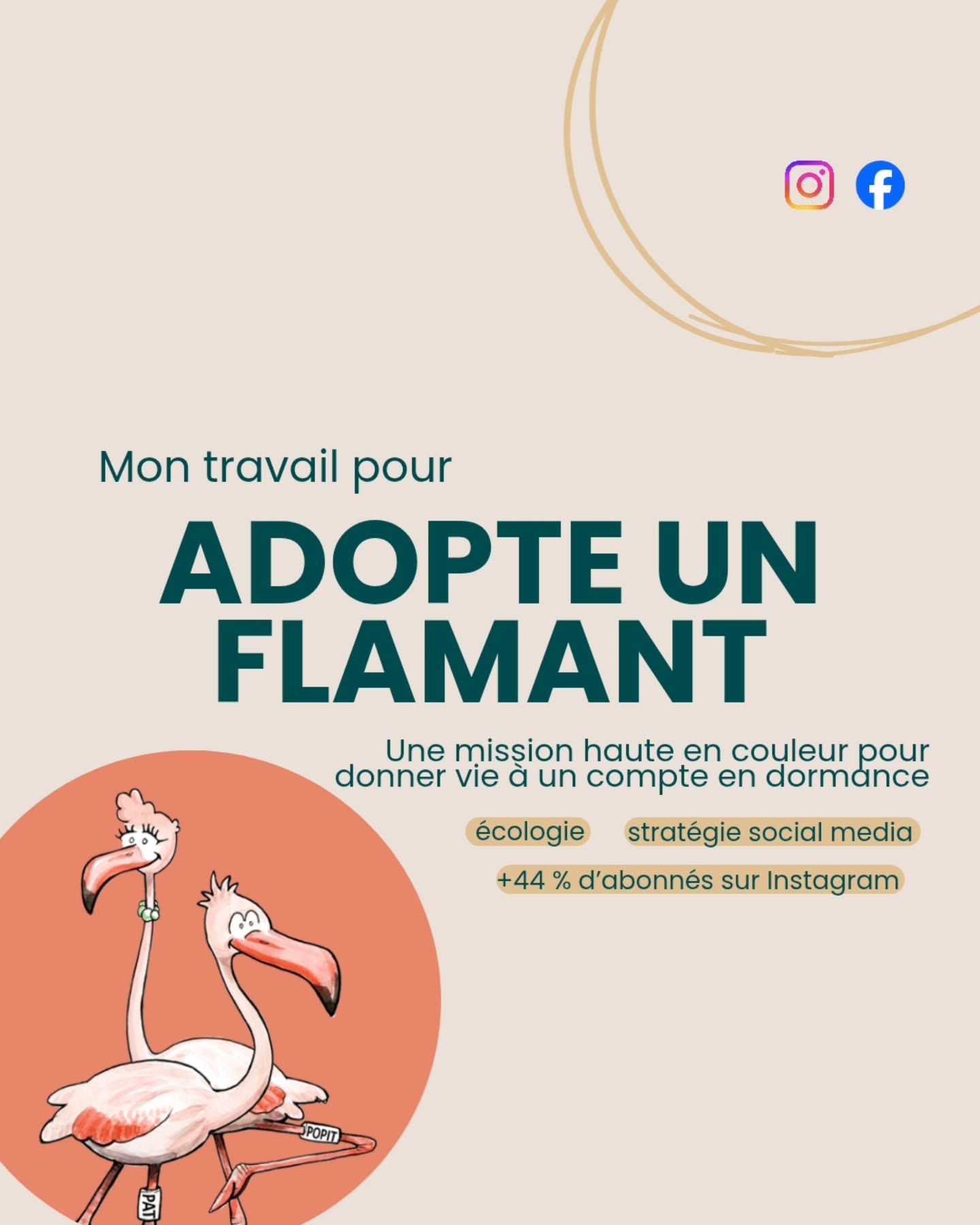 Une mission pas comme les autres : redonner vie au dispositif de parrainage Adopte un Flamant, porté par la Tour du Valat, institut de recherche dédié à la préservation des zones humides en Camargue.
En 8 mois, j’ai assuré la stratégie social media complète :
🎨 Refonte graphique et éditoriale
💬 Gestion de communauté
📈 Périodes promotionnelles et bilans de performance
Avec carte blanche pour le ton, j’ai choisi un univers humoristique et kitsch car... qui voudrait rester lisse et sérieux quand on parle de flamants roses ? 🦩
➕ Résultats :
+44 % d’abonnés sur Instagram
1262 parrainages sur la période des fêtes
Une collaboration qui a redonné du dynamisme à un compte presque à l’abandon le temps que l'équipe recrute en interne, et qui montre que l’humour et la créativité peuvent aussi servir l’écologie.