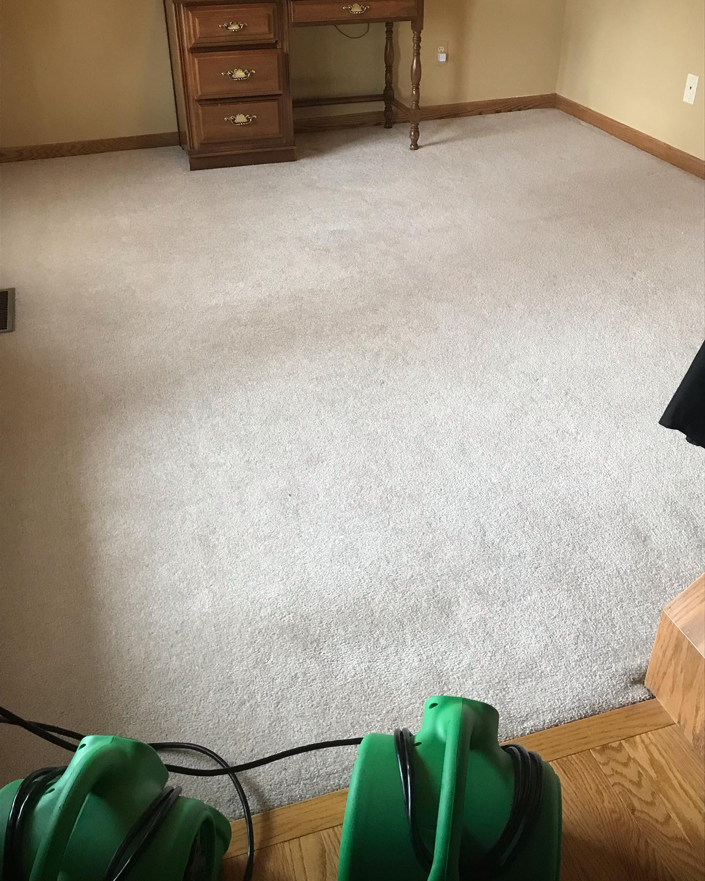 Super fast dry time!