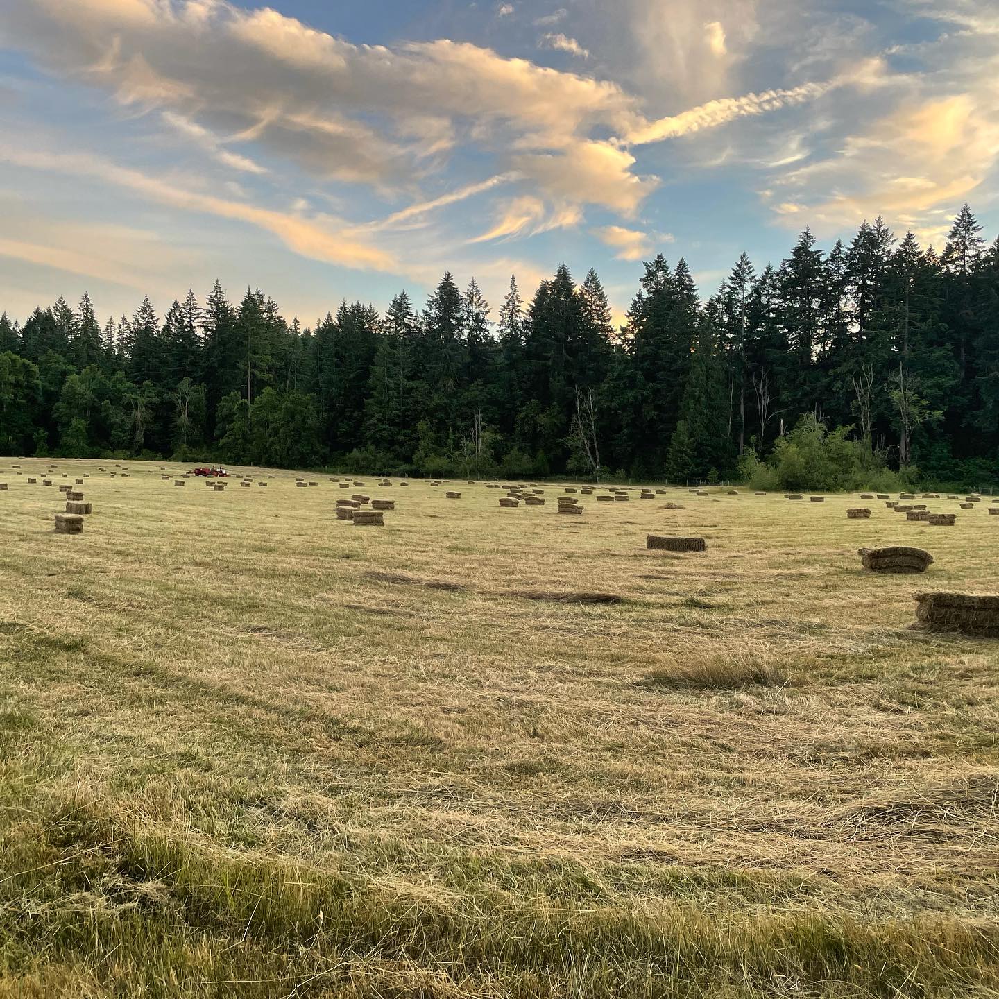 ✨ NEW PRODUCT ✨
🌾Blue Sky Oregon Hay Bales 🌾 Now Available! Visit our online store where you can pick up these 100% Oregon grown… Okay only kidding, but it is hay season out here on our farm and the sights don’t get much better than this!
~~~~~~~~~~~~~~~~~~~~~~~~~~~
P.S. Remember if you want to get your free sample tin of salve you have until Sunday!