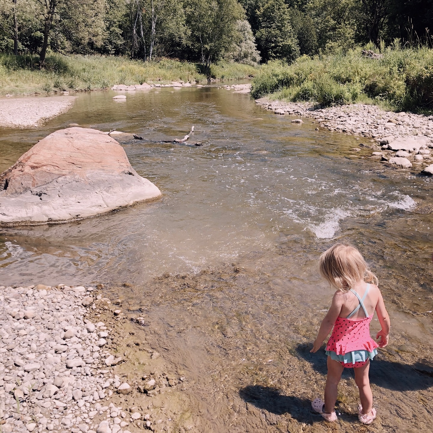There is something special about having the sun on your back while river currents tickle your toes. #homegrowntomatoes #outdoorexploring #rockyriverbeds #lookingfortadpoles #findingcrayfish #rivercurrents #childcare #nanny #nannyshare #daycare #torontobeachesdaycare #homedaycare