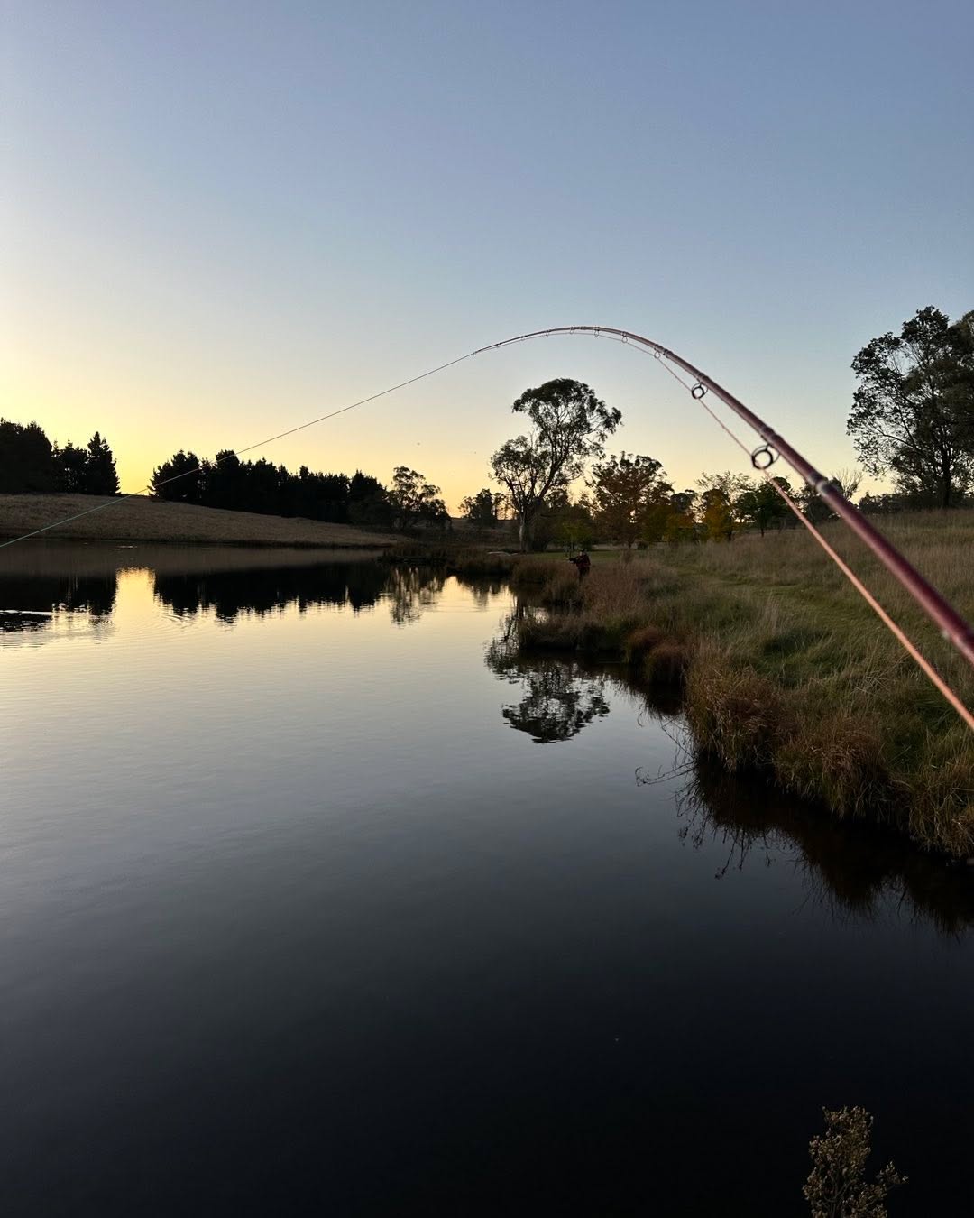 No better feeling. Fish on with the @redtruckflyfishing Diesel GLASS 683-4.
.
#keepemwet #flylife #flyfishingaustralia #flylifenation #flyfishingNZ #flyfishinglife #troutbum #flyfishing #catchandrelease #flyfishinglife #flyfishingsaltwater #saltwaterflyfishing #flyfishingonly #flytying #flyfishingadventures #flyfishingaddict #flyrod #flyfishingjunkie #flyfishingnation