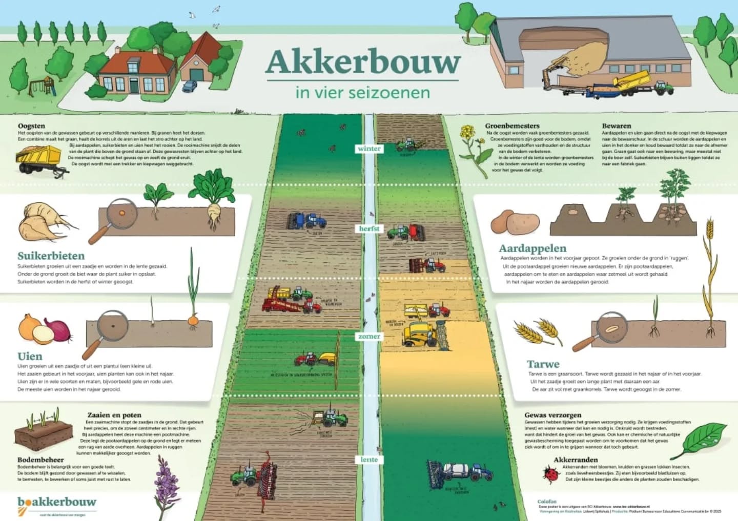 Akkerbouw in vier seizoenen🖼️
Voor ons als boeren is ons werk heel vanzelfsprekend, maar we merken vaak dat dat niet voor iedereen zo is⁉️
Veel kinderen en volwassenen hebben geen idee wat er allemaal bij komt kijken voordat het eten op hun bord ligt 😮
Met de poster "Akkerbouw in vier seizoenen"
komt dit verhaal tot leven.
Akkerbouwers in ons land hebben deze poster ontvangen om op te hangen ergens op hun bedrijf en bij bezoeken als praatplaat te kunnen gebruiken. Er is ook een lespakket voor basisscholen verkrijgbaar👩🏼🏫👨🏻🏫
Nu nog een mooi plekje vinden op ons bedrijf, zichbaar voor onze bezoekers🤔
#hoekschewaardappel
#boakkerbouw
#boerderijeducatienederland
#kombijdeboer
#onzeboerderij