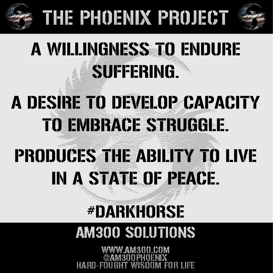 Others define this as “winning”.
Please do not insult the #Process.
Sending focused #intensions to all of those this might resonate with and live by the Code:
#ExcellenceOverSuccess
🐎