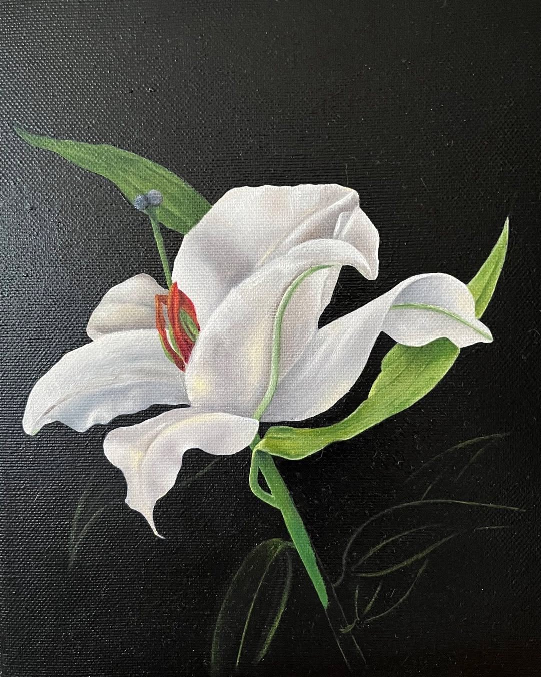Lily, such a beautiful flower in white #lily #flower #scottishartist #stilllife #oilpainting #interiordesign #garden #edinburghartist