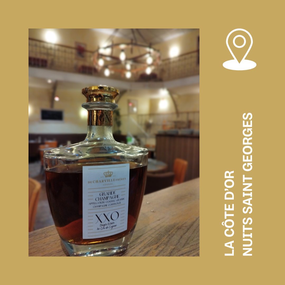 Niché au cœur des plus réputés vignobles de Bourgogne, le village de Nuits Saint Georges abrite le restaurant La Côte d'Or Nuits Saint Georges qui a su devenir une institution locale autant qu'une halte idéale pour les promeneurs et voyageurs grâce à une cuisine où la qualité rime avec la générosité.
Pour terminer un succulent repas, sans doute accompagné d'une jolie bouteille d'ici, demandez à Yann de vous faire découvrir notre XXO (hors d'âge). Si vous êtes amateurs d'accords insolites, associez le même avec leur burger spécialité au goût truffé .
Bonne dégustation !
#JoinOurClub #TheGoldenAgeOfCognac #Cognac #Charente #CognacGrandeChampagne #gastronomie #french #wayoflife #restaurant #bourgogne #burgundy #vignoble #wine