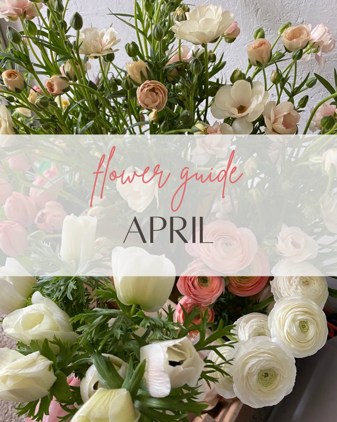 April is usually the start of flower availability for me here in west Devon.
πΈThere are lots of amazing focal flowers to choose from, less of the twiddly bits!
Every year is slightly different depending on the weather but hereβs a guide to what flowers should be available for weddings and other events in AprilπΊ.
Go to the last slide for the full list β‘οΈ
#devonflowers #cornwallflowers #britishflowers #flowersfromthefarm