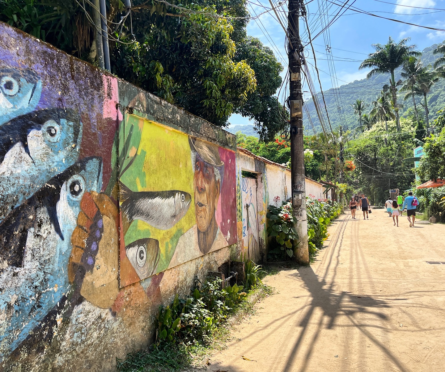 What to do in Ilha Grande, Brazil? Check out our new post for ideas to max your vacation. Link in bio🏝️
#ilhagrande #brazil #angradosreis #island #bestbeaches #beaches #travelbrazil #vacation #visitsouthamerica #travel #travelitinerary #wanderlust #travelblogger #traveler #southamerica #picoftheday #travelphotography #travelpics #tourist #travelgram #photo #photography #photooftheday