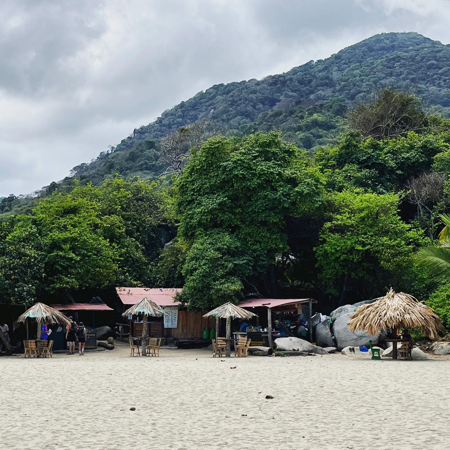 Check out how we did Colombia in 7 days 👉🏼nextstopweekendnyc.com
#colombia #visitcolombia #travelcolombia #travel #travelitinerary #wandetrlust #travelblogger #traveler #travelsouthamerica #southamerica #picoftheday #travelphotography #travelpics #tourist #caribbean #earth #travelgram #photo #photography #photooftheday #tayrona #tayronapark🌴 #parquetayrona #beach #hike #nationalpark #parquenacional #beachlife