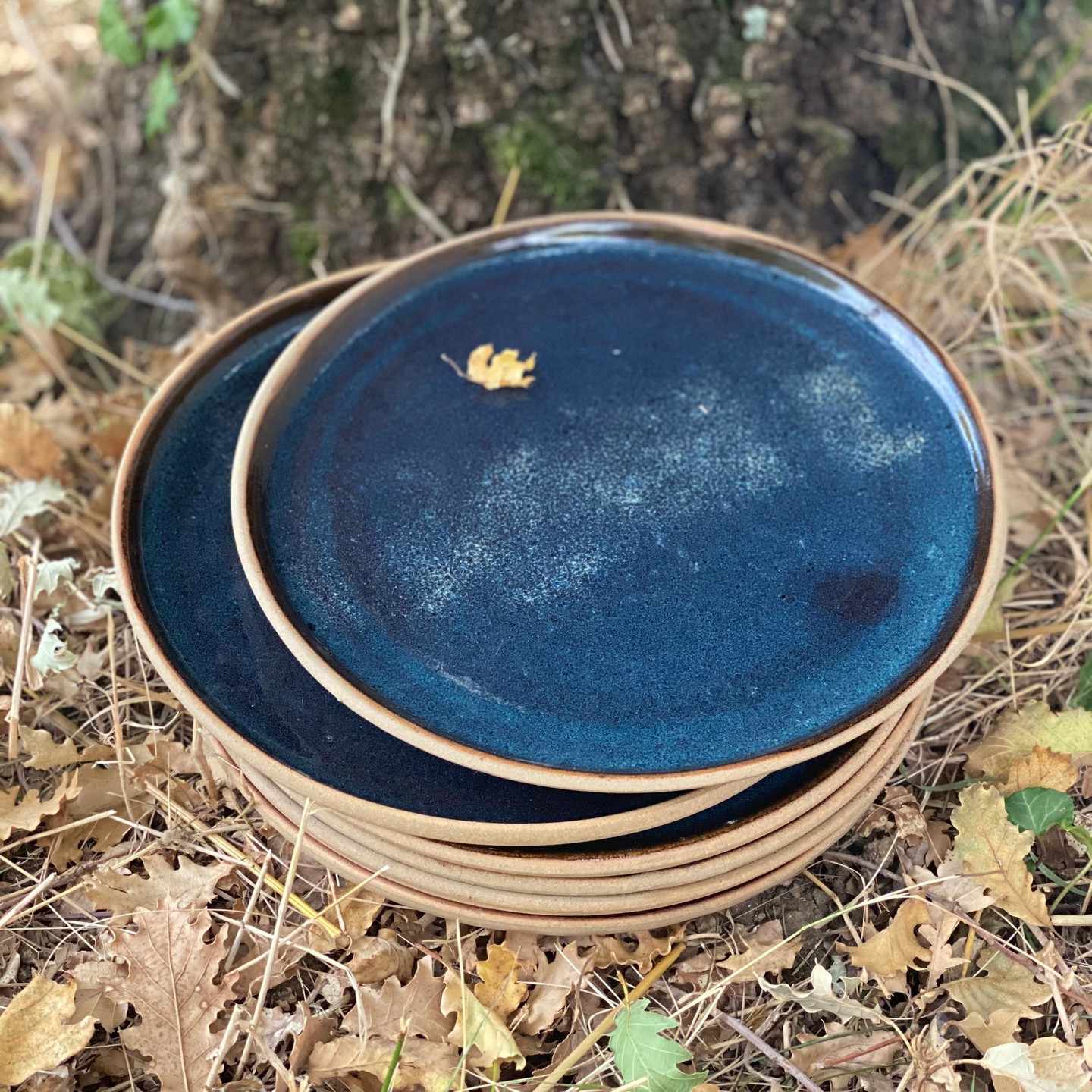 Passion assiettes. Après avoir eu tellement de difficultés à maîtriser la fabrication de mes premières assiettes en série il y a quelques années, aujourd'hui j'aime vraiment travailler sur cet objet ! Je les conçois destinées à sublimer les mets qu'elles accueilleront. Celles-ci sont nouvelles et j'aimerais beaucoup les proposer à un chef / une cheffe. Elles sont tournées et tournassées (ce qui assure la stabilité), en grès roux de Moutiers (village de Puisaye en Bourgogne), avec un émail bleu de fer et un sable local saupoudré avant cuisson qui a fusionné avec l'émail créant une constellation au milieu !
.
.
.
#grès
#ceramique
#céramique
#ceramiquecontemporaine
#artsdelatable
#artdelatable
#poterieartisanale
#platesforchefs
#ceramica
#ceramics
#ceramiquedrome
#tournageceramique
#interiordesign
#tablewear
#homedecor
#stonewarepottery
#decorationinterieur
#madeinfrance
#émauxdegrès
#glazes