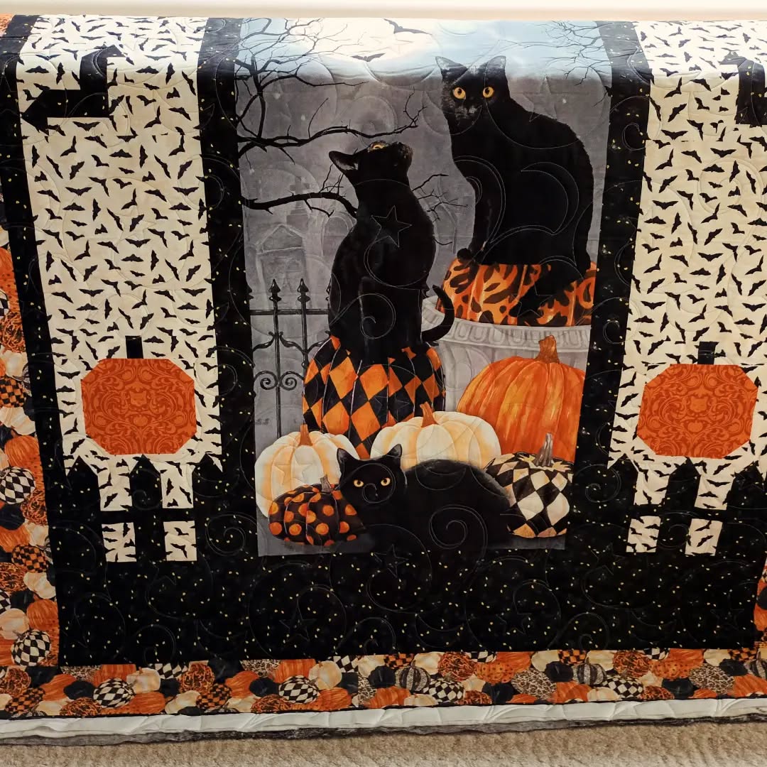 It's time to start thinking about those Halloween quilts. A few more days, and you'll find this "Batty Night" quilt hanging @blacksheepquiltshoplangford Millstream Village location.
#longarming #longarmquilter #longarmquiltingservices #quilterforlife #quiltingismytherapy #quiltingismypassion #halloweenquilt #northcottfabrics #fabriclandlangford #blacksheepquiltshoplangford #quiltlove #quiltersgottaquilt