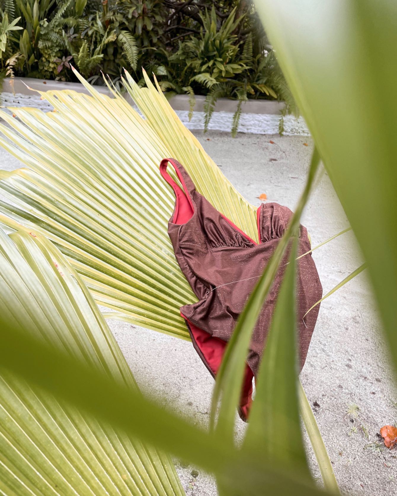 MY.O Swimwear everywhere 😍
Maldives with beautiful tropical decor 🌴🦜🍹
#tropical #decor #paradise #island #maldives #beautiful #swimwear #design #women #empowerment #beachday #ecofriendly #interchangeable #reversible #luxury #brand #swimsuit #myoswim #perfect #lifestyle #bikini #bikinibody #bikinilife #life #body #beachlife #fashion #luxuryswimwear #swimsuitmodel #traveltheworld