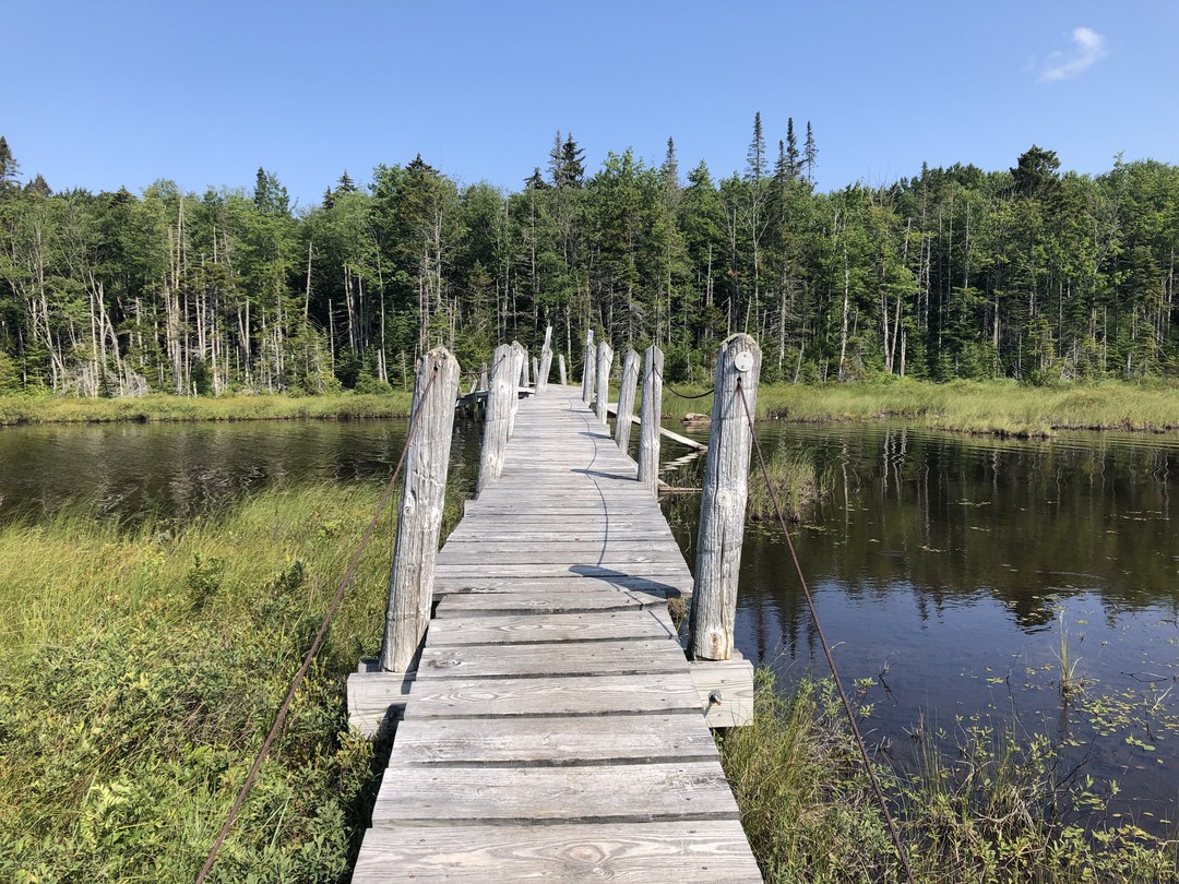 Happy Earth Day!
It may not be clear where this bridge leads, but that's part of the adventure. Be bold and brave and proceed mindfully. Future campfire stories are in the making. .
.
#yogaadirondacks #yogaadk #yoga #adirondacks #adk #mindfulness #nature #hiking #NPT #bebold #staywild
