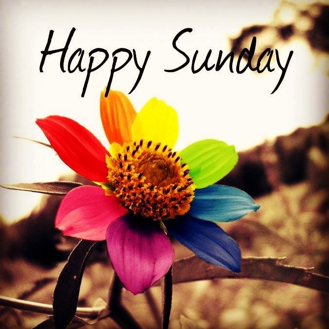 Happy Sunday 🎉 we have a MASSIVE week ahead of us 😅 stay tuned.....