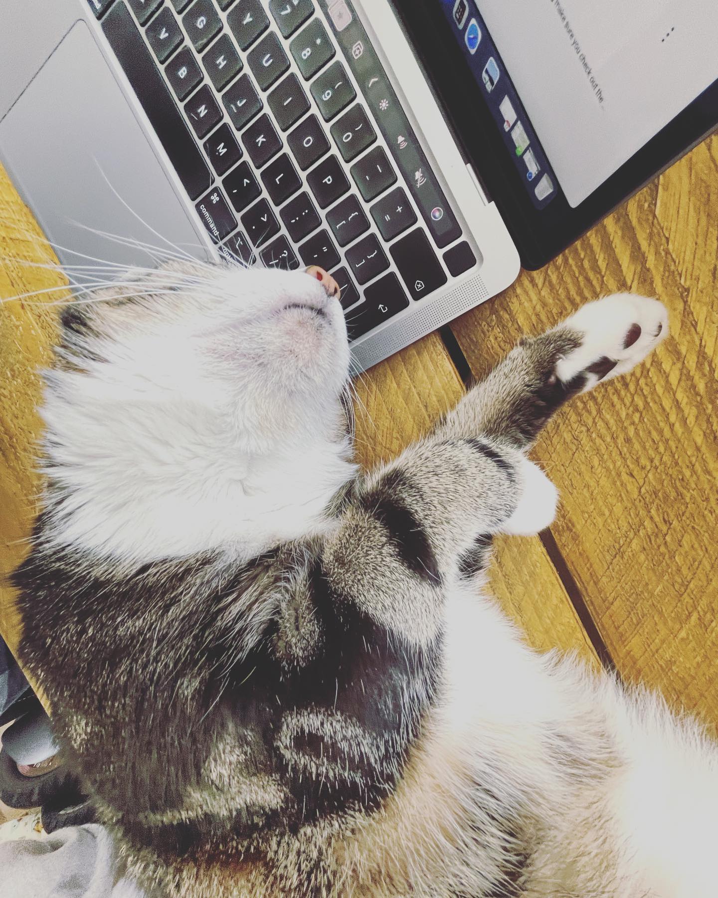 He has an easy lifeβ¦ π€£π€¦π½ββοΈ