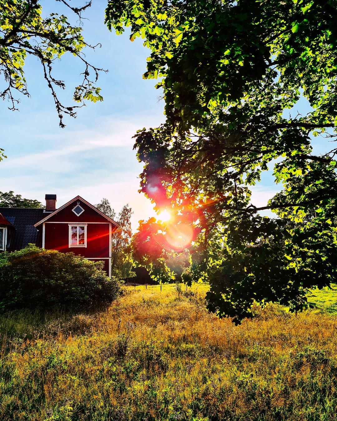 From the city streets to countryside dreams. Yesterday evening there was the briefest of reprieves from the the cloud cover and run, showing off the dazzling sunsets I'm use to at home. In so many ways this place is a bubble, hidden away, untarnished by the world. .
.
#summertimesunshine #darlingdaily #naturephotoportal #inbeautyandchaos #inspiredbypetals #natureonthepage #daysofsmallthings #dailysmiles #inspiredbyflowers #slowfloralstyle #myquietbeauty #seasonpoetry #aseasonalyear #seeksimplicity #alliseeispretty #gloomandglow #mybeautifulsimplicy #tv_stillife #bokeh_and_blur #foreverfaffing #morninglight #moodmagic #thatmagicmood #thatvelvetfeeling #sweden_by_us #weatheredandworn #sunburst #still_life_gallery_ #curated_nature #jj_still_life