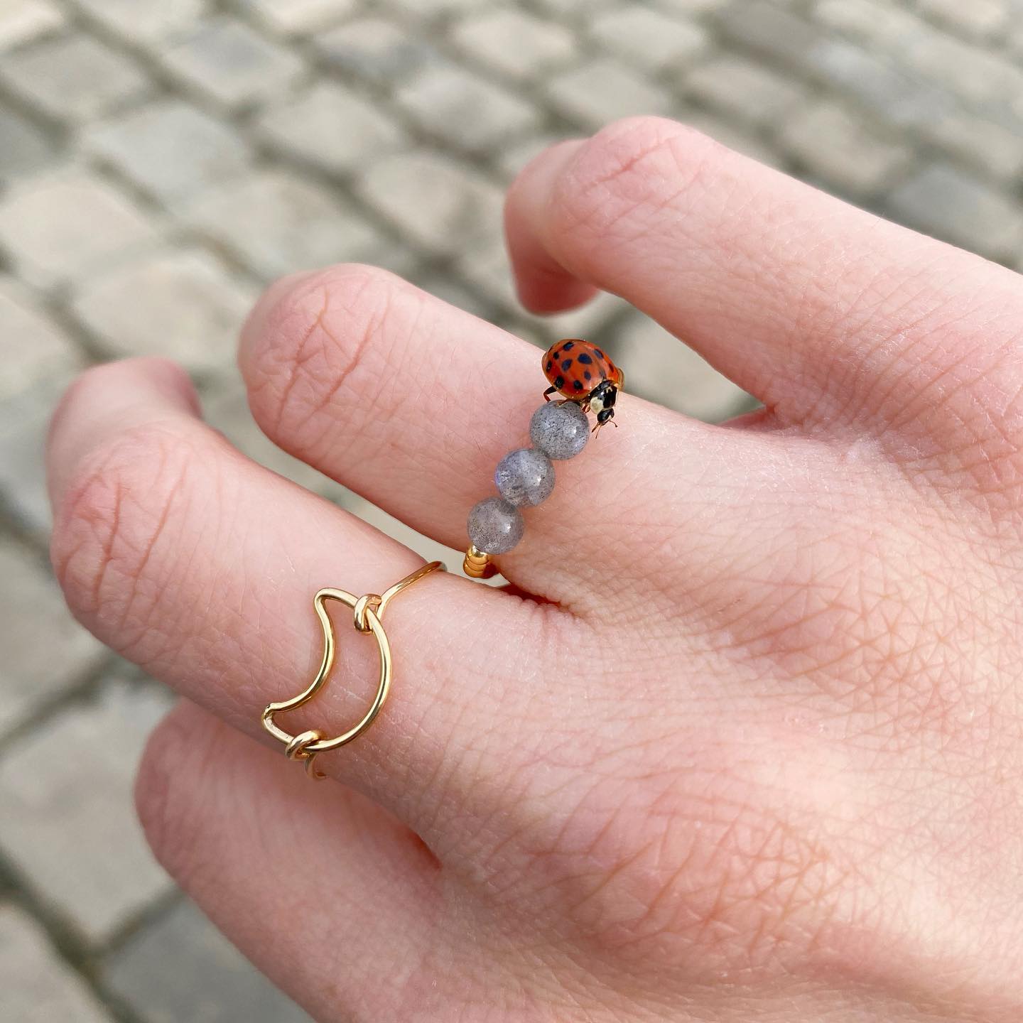 Vous l’aurez compris les bagues et moi c’est une histoire d’amour!
🌙
Les bagues LUNE et DRAGE que vous aimez beaucoup sont en soldes en ce moment.
•
•
•
#bijoux #bague #bijouxdujour #bijouxlune #lune #lunaire #bijouxdujour #inspiration #antwerp #antwerpcity #fashion #créatricebijoux #creatricedebijoux #francais #cadeaunoel #creatricefrançaise #ring #bagueaddict #bijouxaddict #bijoux #bijouxtendance #femme #frenchy #alhenabijoux