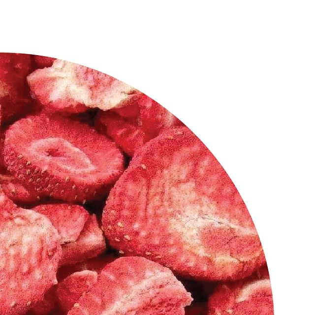 Freeze-dried Fresas 100% Fruta
