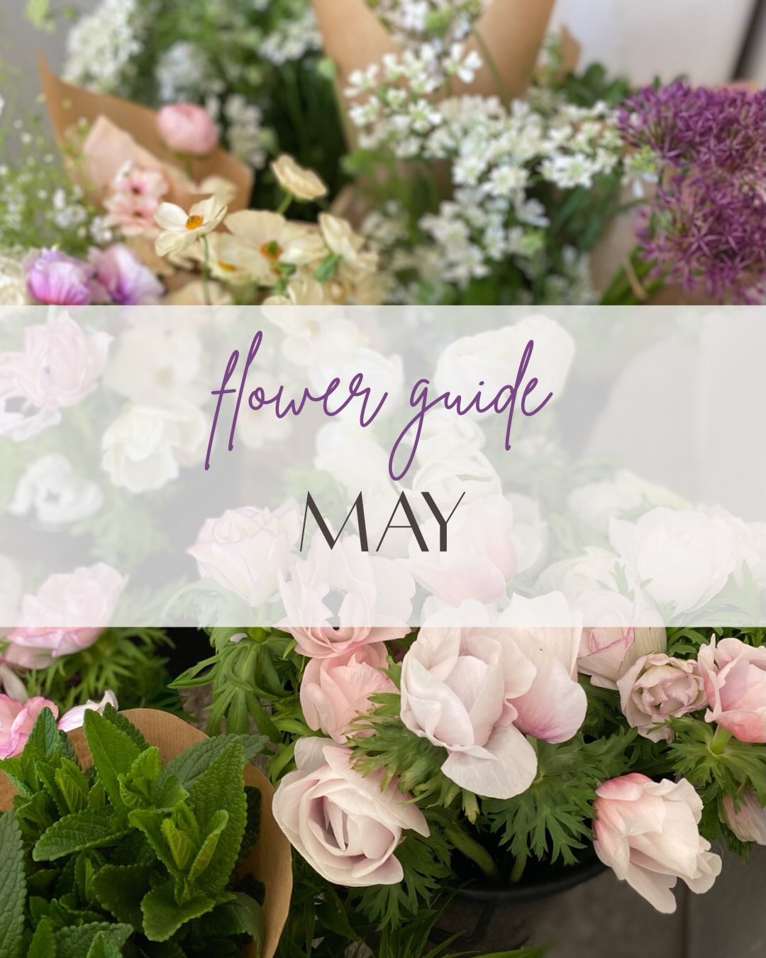 May flower guide ππΈπ©·
#devonflowers #cornwallflowers #flowersfromthefarm