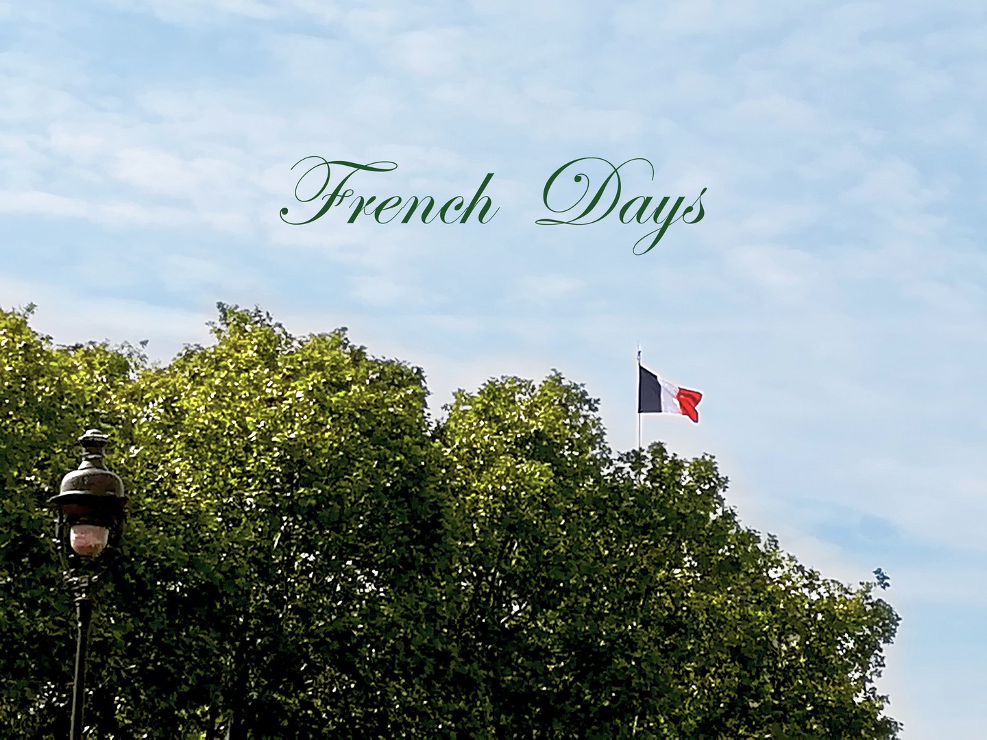 🇫🇷 Les French Days 2023 ont commencés !!! 🎉 et comme ils sont souvent trop courts nous les avons prolongés !
🪄 Rdv sur naturare.fr du 27.09 au 07.10.23 🧺
💖 Nous mettons à l’honneur les produits du Terroir Français 🌿🥝
🎊 profitez de promos exclusives ✨
🇫🇷 French Days 2023 has begun !!! 🎉
and since they're often too short, we've extended them !
🪄 Rdv sur naturare.fr du 27.09 au 07.10.23 🧺
💖 We're honoring the products of the French Terroir 🌿🥝
🎊 enjoy exclusive promos ✨
#frenchdays #french #frenchie #frenchy #madeinfrance #terroir #terroirfrançais #suddelafrance #paris #bordeaux #marseille #lyon #frenchriviera #frenchrivieralife #producteurslocaux #producteurslocauxbio #marquefrancaise #frenchinnovation #frenchtech #cosmetiquenaturelle #complementalimentaire #complementalimentairenaturel #superaliment #supplement #naturalsupplements #superfood #naturare #naturarebio #naturarefr #naturarefrance