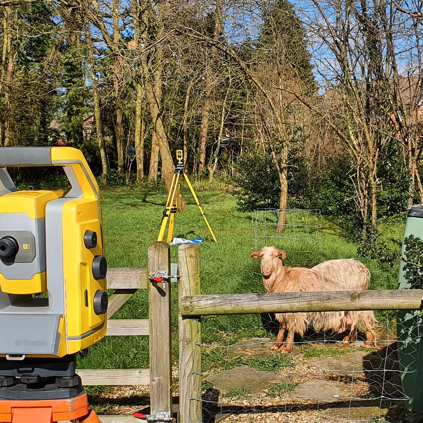 Unexpected visitors while doing a topographic survey.
.
.
.
.
.
#Goat #Surveylife #Trimble #Topografia #Surveying