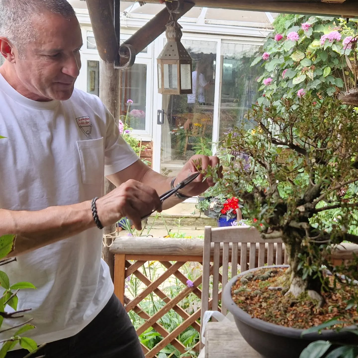 Open Bonsai Workshop