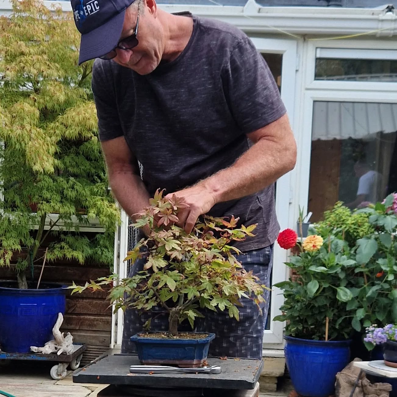 Open Bonsao Workshop.