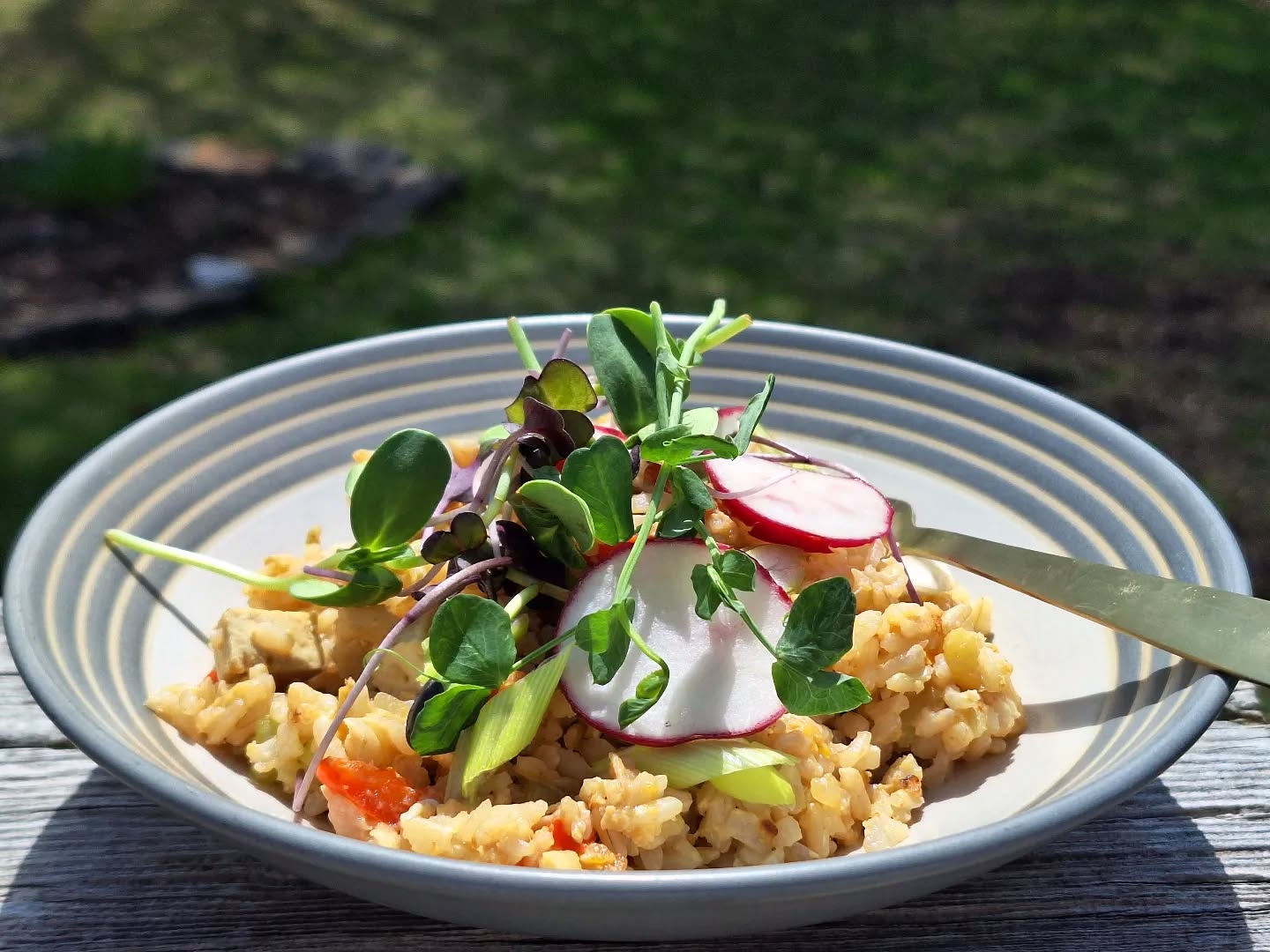 Lunch outside today while I work on a fun, creative project, which I'm excited to announce next week! Veggie fried brown rice with tofu. Topped with @heartcity.farm sprouts.